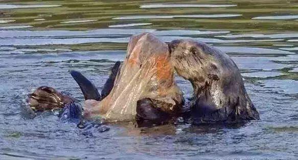 1634630859654859.jpeg 13.jpeg